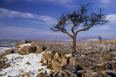 7432_Winter Over Wharfedale